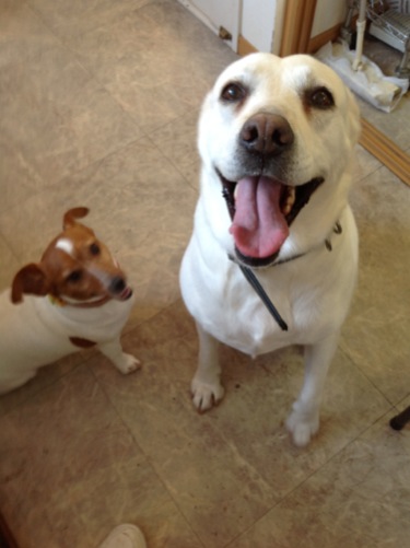 �֤ˤ�����פβ���