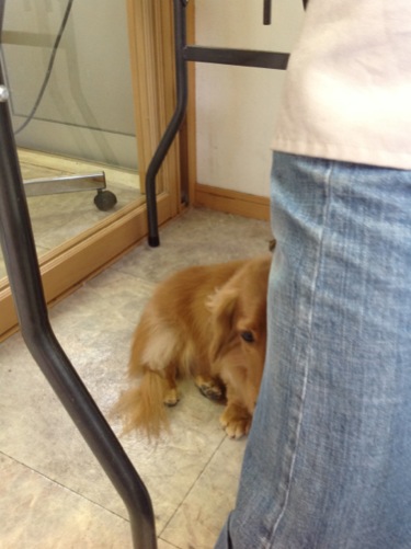 2012/11/30 20:50 ���줿�Ĥ�ꡩ