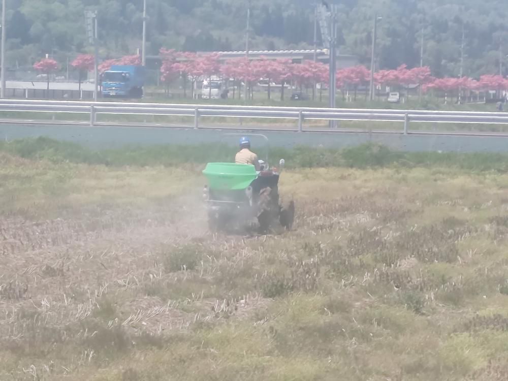 大豆基肥散布
