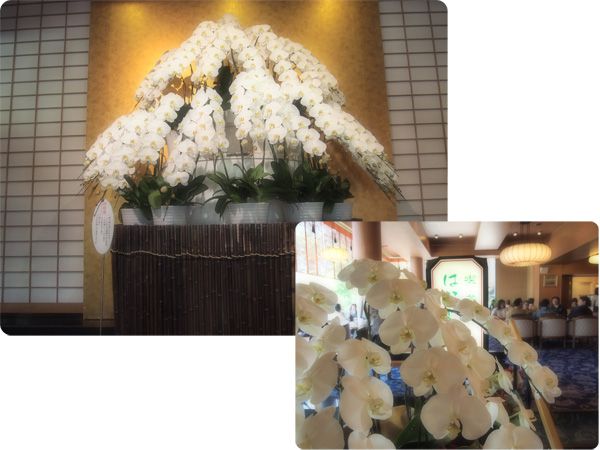  ★生花のヒーリング効果♪【日本の宿 古窯】 