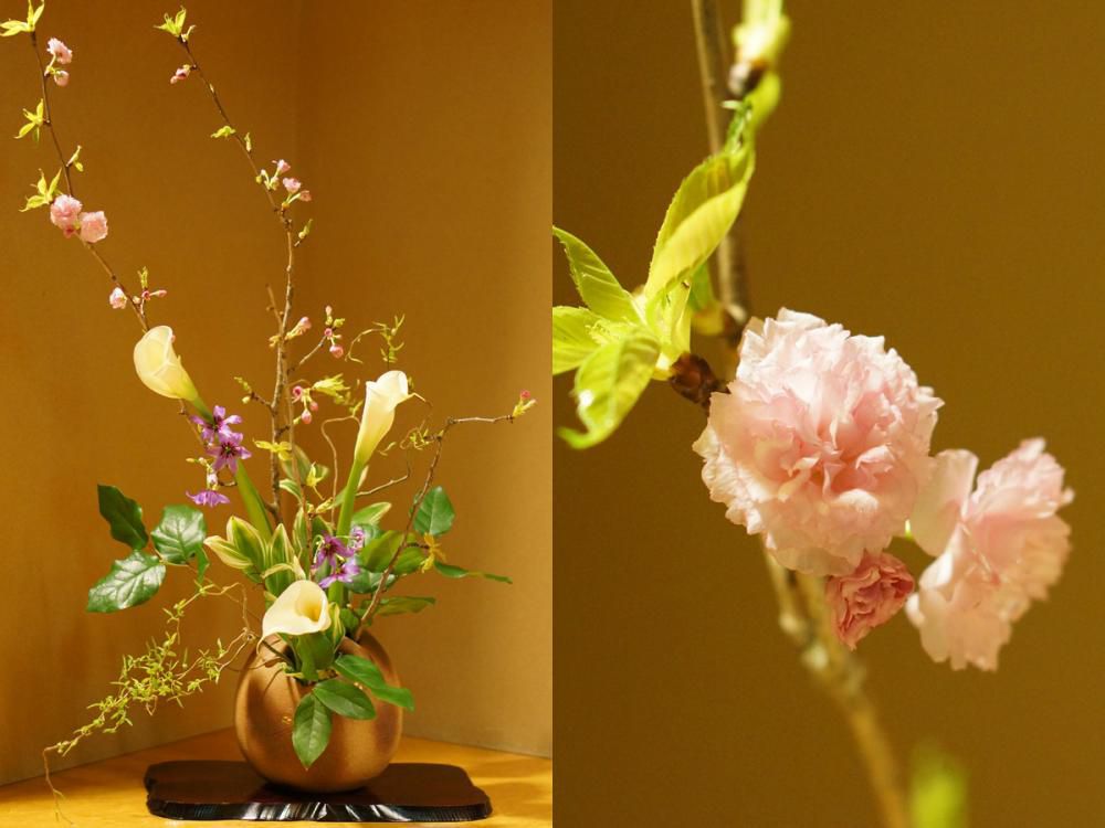 ★花に寄せて（4月）【日本の宿 古窯】