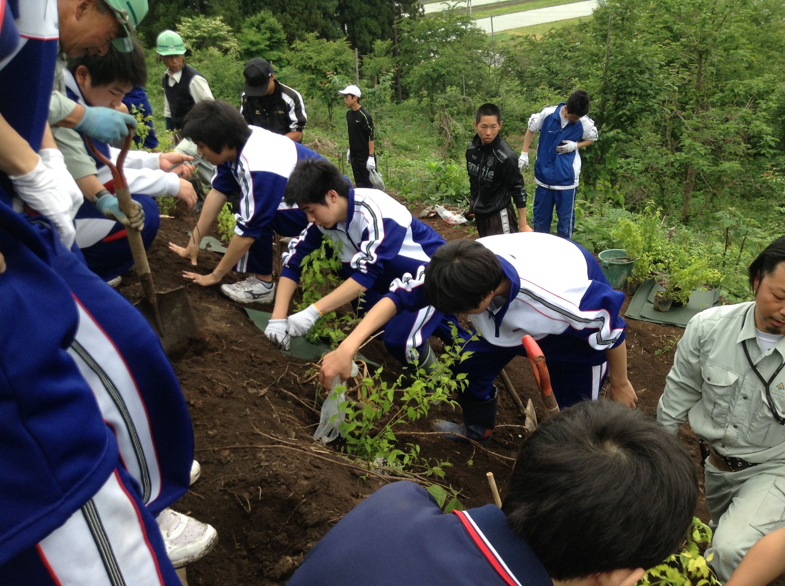 １年男子学校林で植樹をしました。