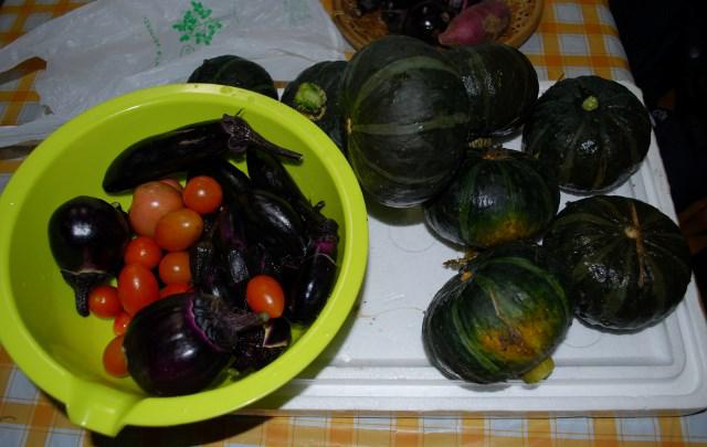 家庭菜園野菜収穫