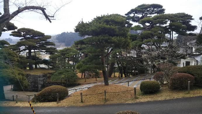 二本松城の松