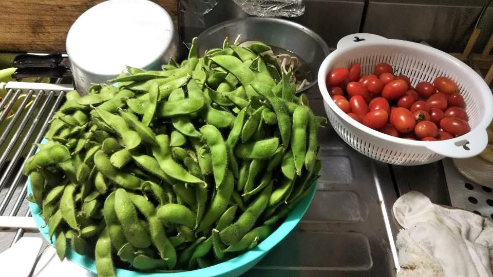 枝豆（秘伝豆）