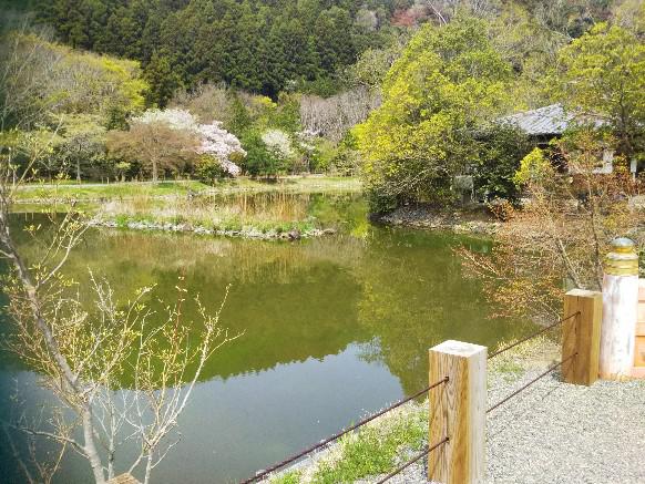 願成寺　国宝白水阿弥陀堂