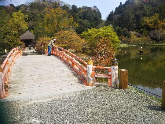 願成寺　国宝白水阿弥陀堂