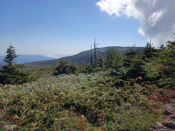 R7米沢山岳遭難対策委員会現地研修