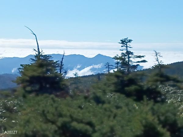 R7米沢山岳遭難対策委員会現地研修