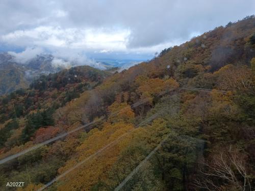 ロープウエイからの紅葉