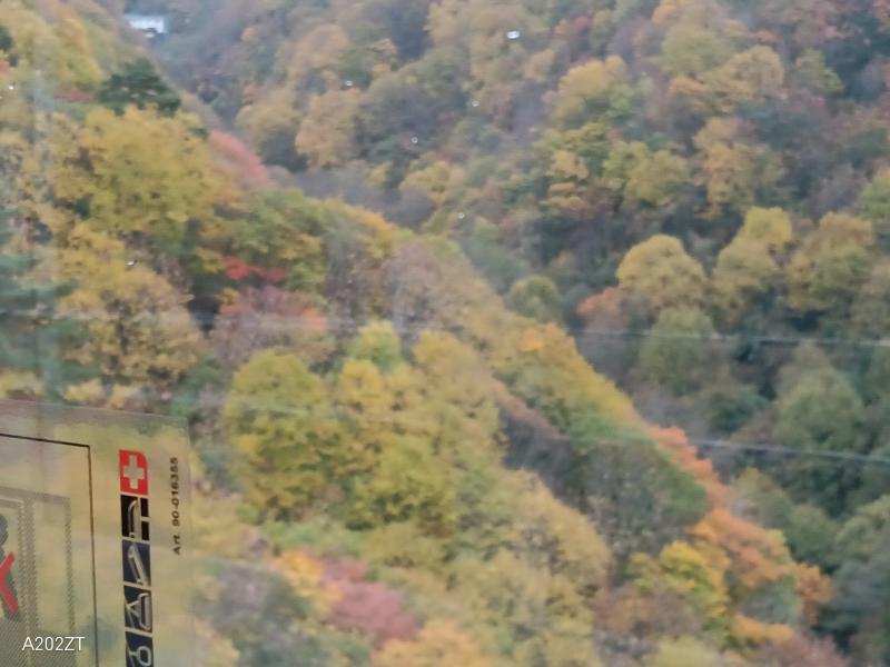 ロープウエイからの紅葉