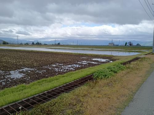 田植え準備