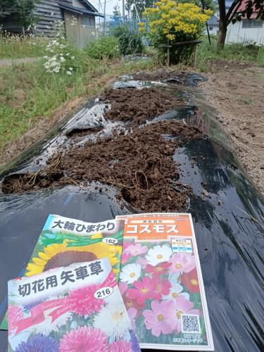種蒔き