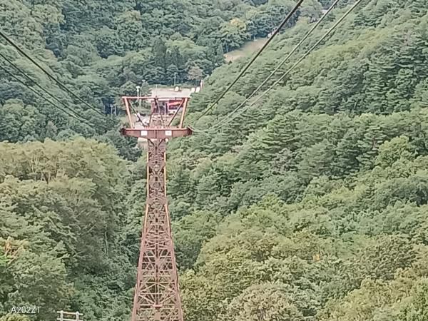 強風運休