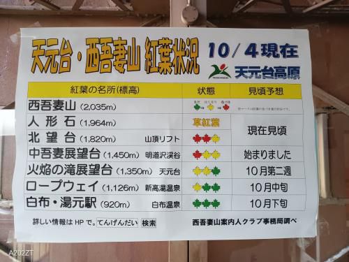 天元台・西吾妻山紅葉情報10月4日
