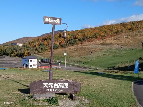 天元台高原の紅葉