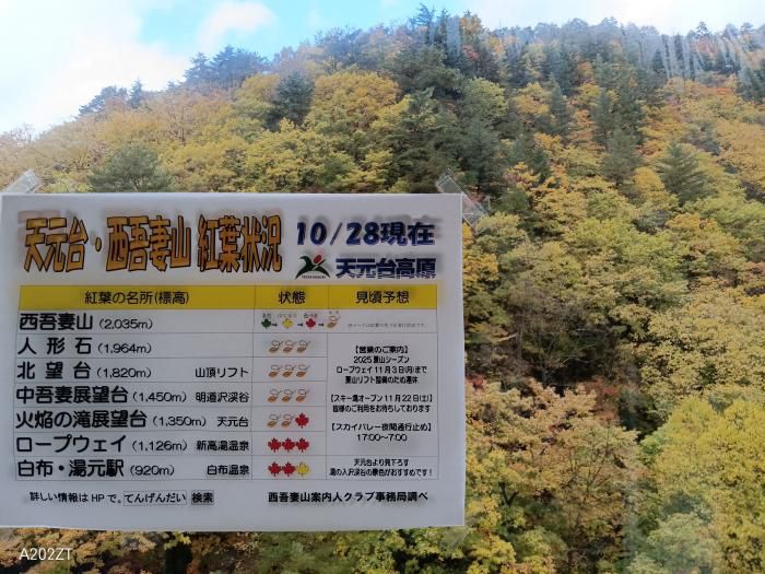 ロープウエイからの紅葉