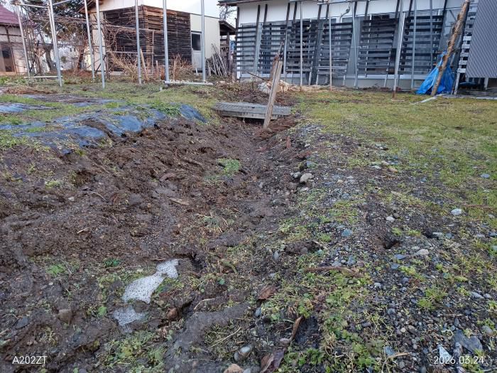 我が家の前の雪が消えた日