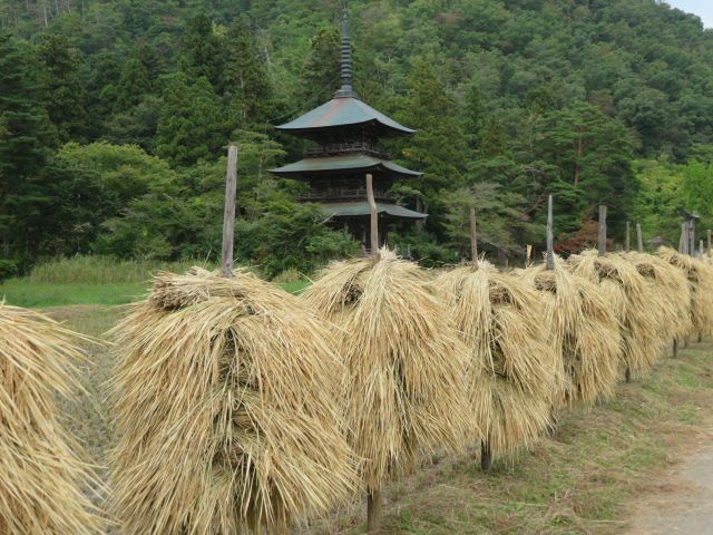 稲杭の風景