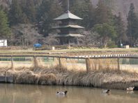 安久津八幡神社の風景