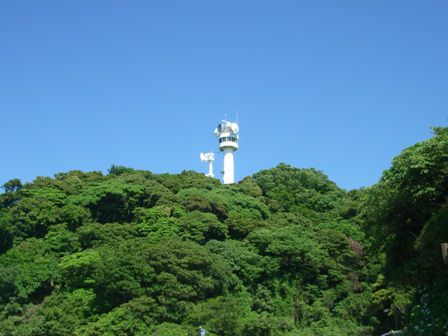 三浦半島まくまく日記④