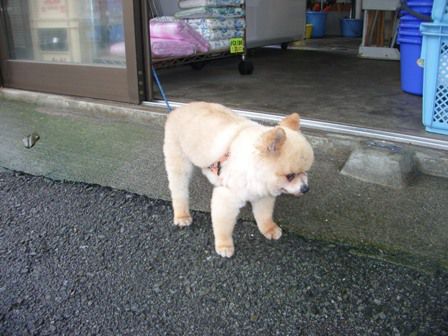 三浦半島 再上陸③