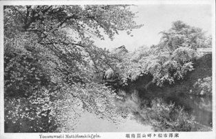 松岬公園の桜はいつ植えられたのか。