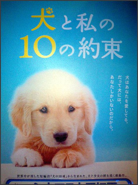 ◆犬と私の10の約束◆