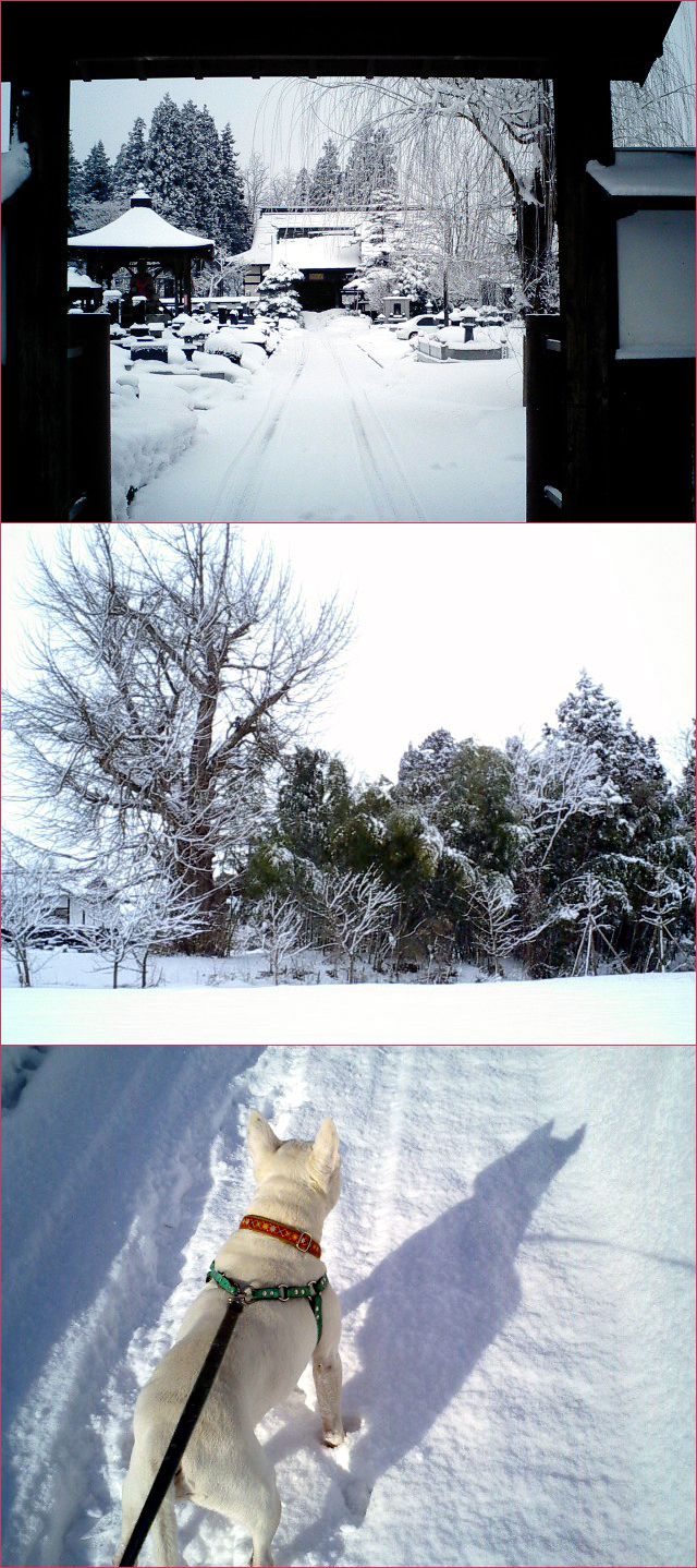◆粉雪◆里の雪その３