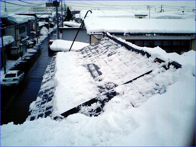 ◆屋根の雪道◆