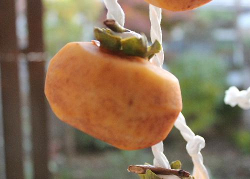 上山市で干し柿づくりが最盛期であるとの報道がありました　我が家でもささやかな干し柿をつくり軒下に吊るしています　秋の風物詩の一つです　あちこちに柿の実が木に残っています