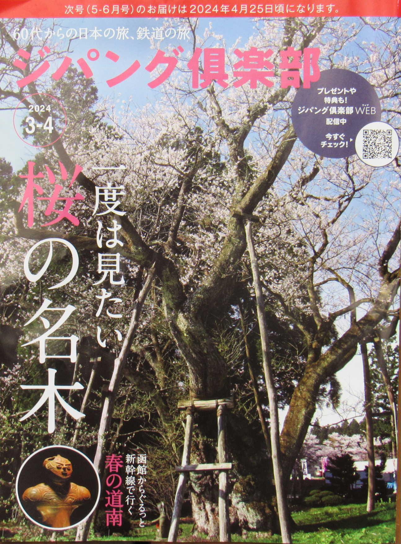 JR東日本の「ジパング倶楽部」という宣伝誌に、見開きで烏帽子山公園の大鳥居と桜が一面に掲載されていました　大人の休日倶楽部の会報と一緒に送付されたこの冊子をみて驚きアップしました　今年は例年より早く開花するのではないかと造園業者が言っていましたがもしかすると3月中に開花するのでしょうか　開花が待ち遠しくなりました