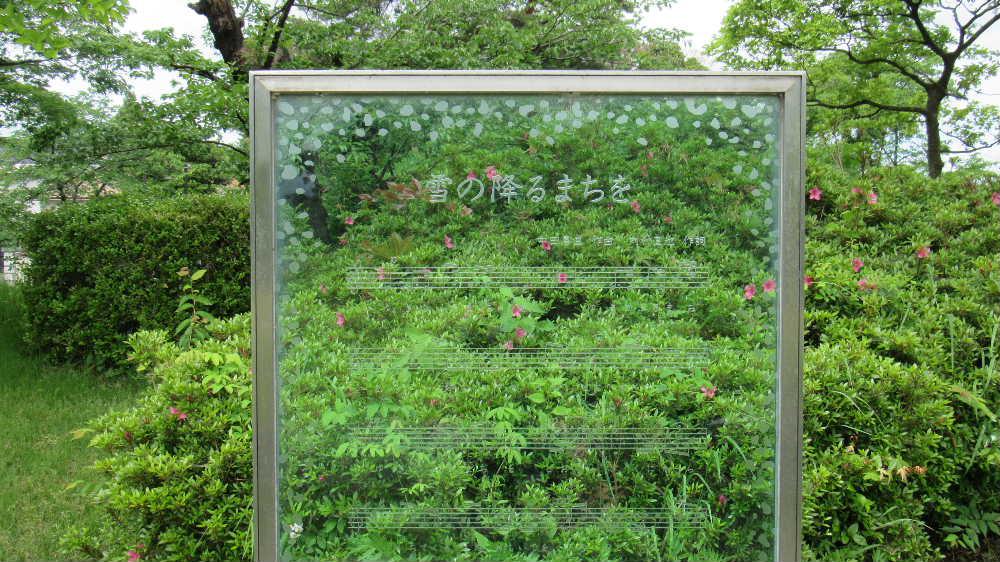 鶴岡の街を歩いてきました　あいにくの雨で天神祭りをじっくりと楽しむことができませんでしたが鶴岡公園をゆっくりと散策してきました　荘内神社の花手水　お堀花の花しょうぶ　雪の降る町をの歌碑などどれもが雨に打たれた後の静かなたたずまいがステキでした