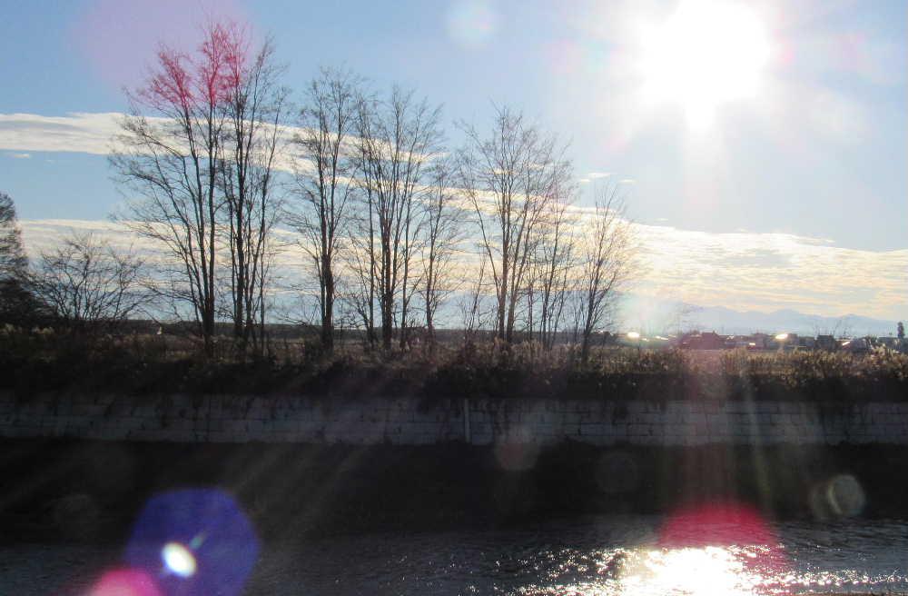 初冬の吉野川べり