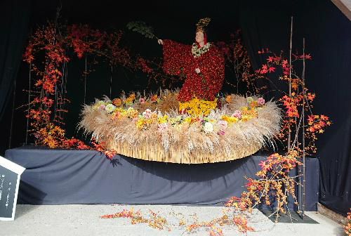 １１月３日は幼い頃から菊祭りの仮装行列、その後菊のカーニバルと行われており懐かしい行事の一つでした　今年はコロナ禍の中菊人形展や菊花展などもなくなりました　熊野神社で秋を感じてきました