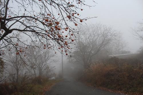 晩秋になると置賜盆地は深い霧に覆われ　昼近くになってようやく霧が晴れます　太陽に温められた田んぼからは靄が立ちのぼります　鳥上坂を上るとウソのように霧が晴れて山形に通勤していた時代には鳥上坂を上りきるとホッとしたものです
