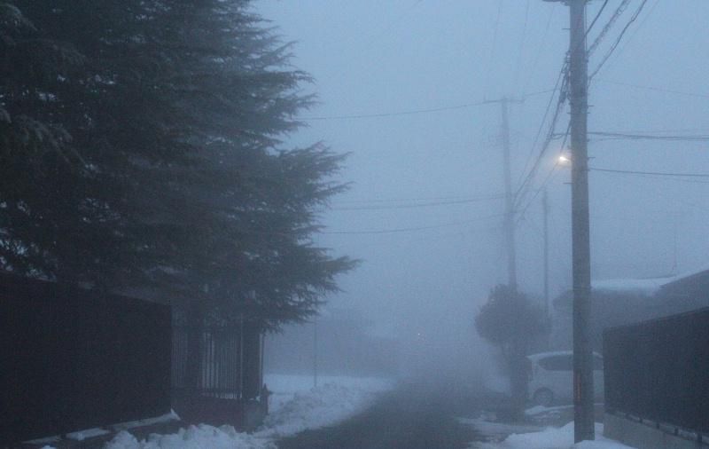 氷点下の冷え込みで回り一面深い霧で街頭もぼんやりと灯っています　今日は全国的に晴れの予報です　ほっと一息つける一日になるのでしょうか
