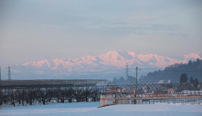 朝日に染まる飯豊山　ちょうど朝日が昇る頃に梨郷地区から見える雪を抱いた飯豊山がピンク色に染まってとても神々しく見えました　まだ残雪というには早いのかもしれませんが早春も風景です　