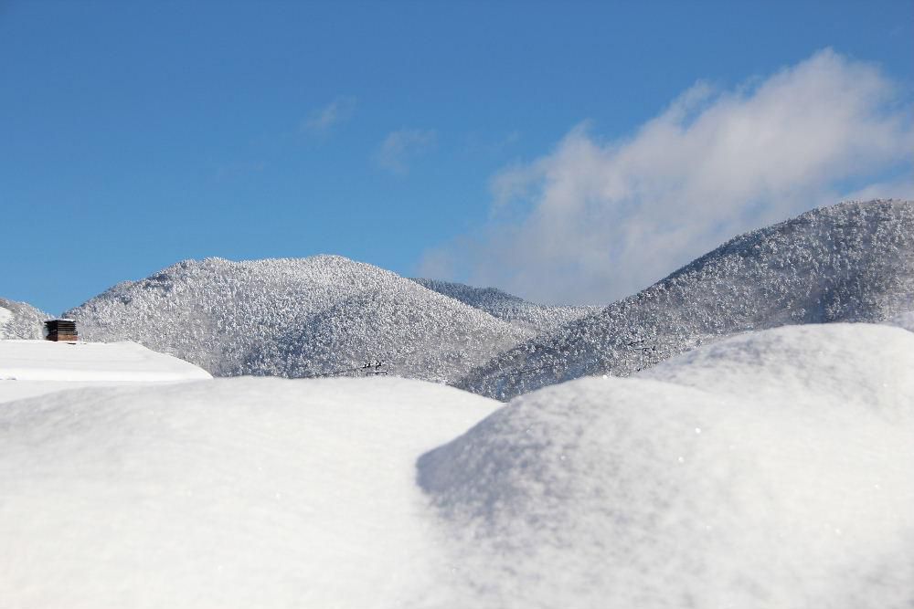冬の晴れた日の風景は白い雪と青い空と見事なコントラストでそのキレイさは吹雪の時を忘れてしまいそうです　
