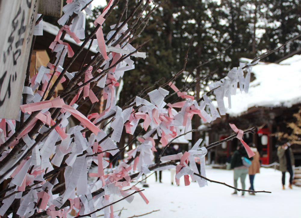 熊野大社で厄払いのご祈祷してもらってきました　冬の雪も少し落ち着いてきたこともあるのでしょうか参拝者やご祈祷に参加する人もちらほらと見られました　オミクジの白やピンクが花を咲かせたように木の枝に結んでありました　なんとなく春を感じる風景です。