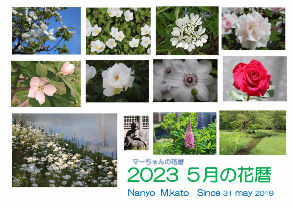 「2023 ５月」の花暦です　新緑が眩しい季節で様々な花が咲き誇る５月です　たくさんの花をこの花暦で紹介しましたので選ぶのが難しくなるほどたくさんの花が咲いていました　さわやかな季節、一斉に木々の目がふき花が咲きほこる５月です