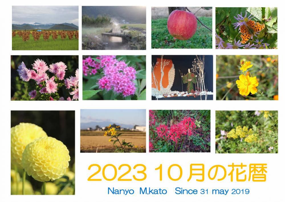 「2023 10月の花暦」は暑い夏がうそのように秋のi花々が咲き乱れます　キク　ダリア　キバナコスモス　そしてリンゴやカキなどの果物と色も黄色化からオレンジと秋色に染まり山の木々も色づいてきます　花が終わるとなっている実も色づいてきます