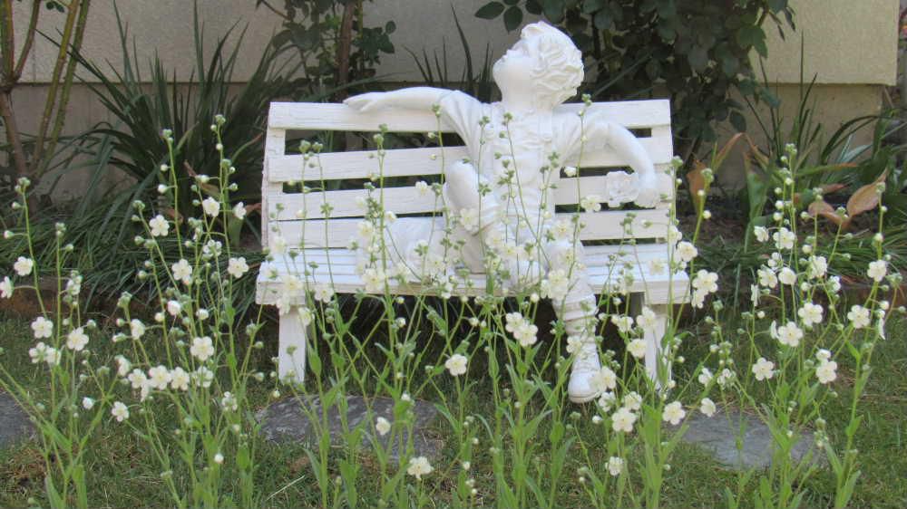 知人から種をいただき昨秋プランターに蒔いた「オンファロデス」が咲きました　育て方が悪いのか小さな花ですが白く可愛い花で我が家の庭を初めて彩ってくれました　調べてみると学名の「オンファロデス」はへそに似たという意味で種の形がへそのようなのでつけられたのだそうです　カスミソウの花を少し大きくしたような白い小花がたくさん咲いています　今年は種をとってじっくりと観てみようと思います　へそと似てるかどうか見てみたくなりました