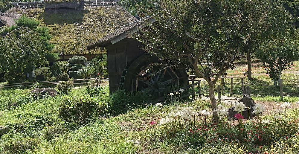 「 ♪ うさぎ追いしかの山　こぶな釣りしかの川・・」と続く「ふるさと」の歌が聞こえてきそうな風景に出会いました　草の生えたカヤ屋根　小川にかかる水車小屋　ちょろちょろと流れるきれいな川　どれもが懐かしく郷愁を誘う風景です　動画もアップしてみましたのでのぞいてみてください