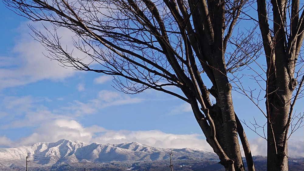 真っ白な山と青い空　昨日は全国各地で雪が降っていると報道されていましたが　なんとわが山形県の内陸地方は冬とは思えない青空と白い雲、真っ白な雪の山に思わずカメラを向けました　雪が降らず晴れた冬は何か得したような気になってしまいます　もうちょっと得した気分になりたいのですが今日もそんな日になるのでしょうか