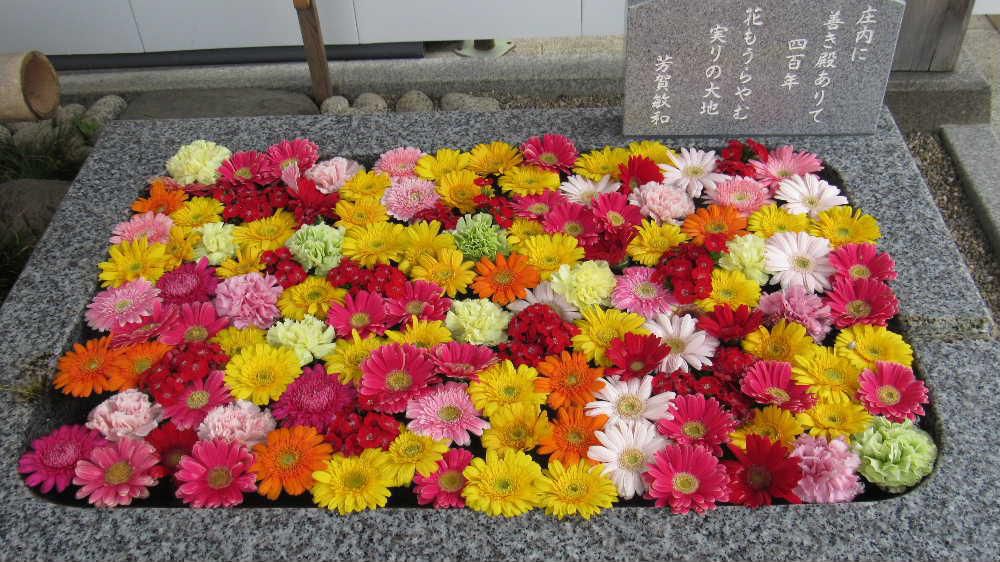 鶴岡の街を歩いてきました　あいにくの雨で天神祭りをじっくりと楽しむことができませんでしたが鶴岡公園をゆっくりと散策してきました　荘内神社の花手水　お堀花の花しょうぶ　雪の降る町をの歌碑などどれもが雨に打たれた後の静かなたたずまいがステキでした