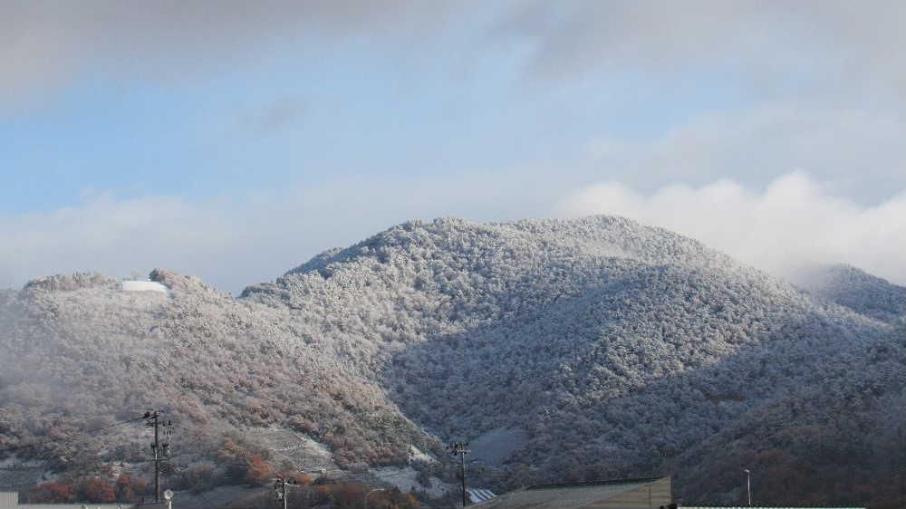 昨夜から雪が降り始め今朝はうっすらと雪が積っています　ついに山形県にも雪が降りました　我が家から見える十分一山が紅葉から一夜にして雪を冠った山に代わりました　暑い夏の後の短い秋が過ぎ冬になりました　雪囲いだけでなく冬用タイヤの交換や除雪機の点検など急ピッチの冬の準備に大わらわです　でもまだ雪は積もってほしくありませんね
