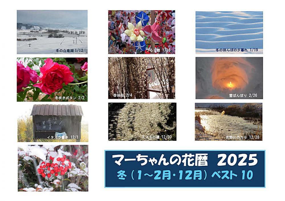 大みそかの朝は穏やかな天候で陽も射しています　今年最後のブログとなりました　３６５日一日も欠かさず毎日駄文とたわいもない写真をアップし続け今年最後の１ページとなりました　今年のブログから冬の花暦2025(1～２月 12月)を選んでみました　草花や花木の美しさ　鳥や虫たち　そして心和む風景は自分を穏やかにさせてくれる元気の源となりました　ボケ防止の一つであり今年も何とかここまで生きてこれたことに感謝です　よい年をお迎えください