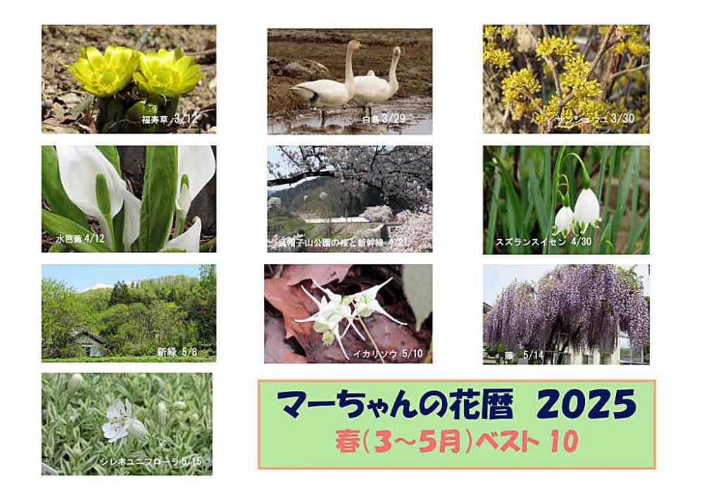 今年もあと4日になりました　雪の季節を迎えアップする花もなくなりましたので　今年1年の花暦を四季に分けて季節ごとのベスト１０を選んでみました　選出基準は特になく花にこだわらず季節感を伝えているものを選びました　貴方にとってのベスト１はどれですか