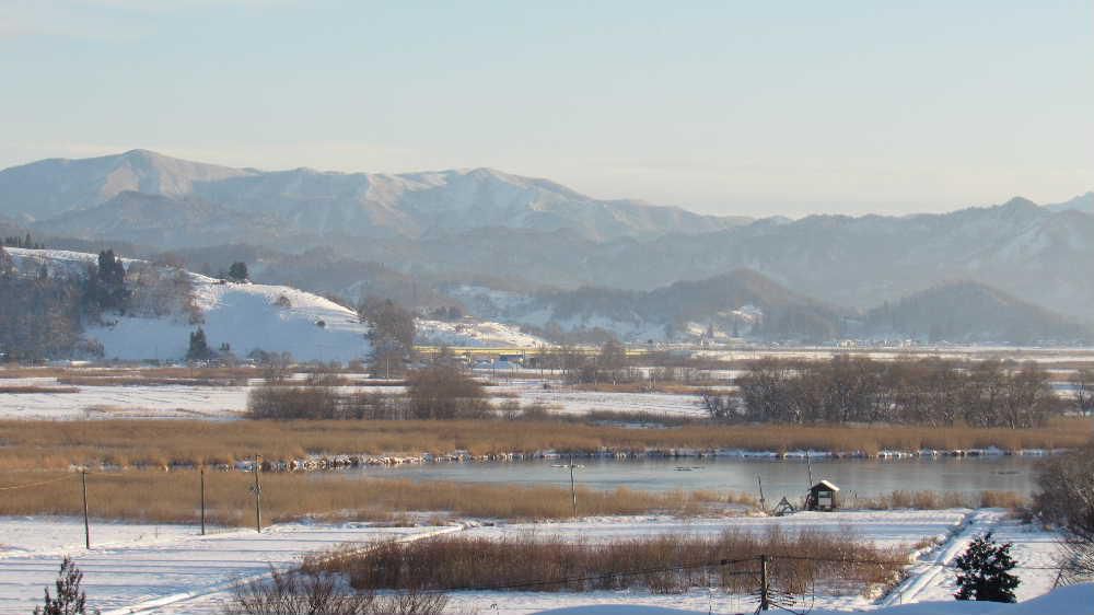 昨日は朝から好天で夕方には一面がオレンジ色に染まりました　これからはなかなかこのような天候に出会えなくなるだろうと急いでカメラを向けました　白竜湖の周りには枯れた葦や葦が雪からニョキニョキと飛び出し早春を思わせる風景です　夕日に照らされた東の山並みの奥に蔵王ではないかと思われる真っ白な山が輝いています　つかの間の好天です　今日からまた冬に逆戻りしそうです